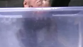 Vrtlar je uvjerio ma ...