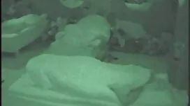 Rak mladića jebao je ...