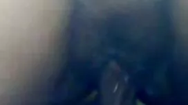 Dvije ljepote dara b ...