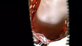 Seks dorcel porno dv ...
